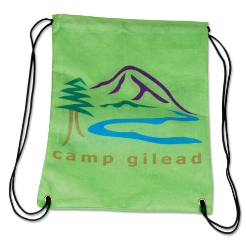 Cinch Bags - Small