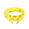 Shoe Laces, 38″