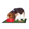 Tapis pour Animaux