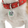 Pet Tag Silencer