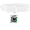 Pet Tag Silencer