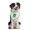 Bandana pour chien
