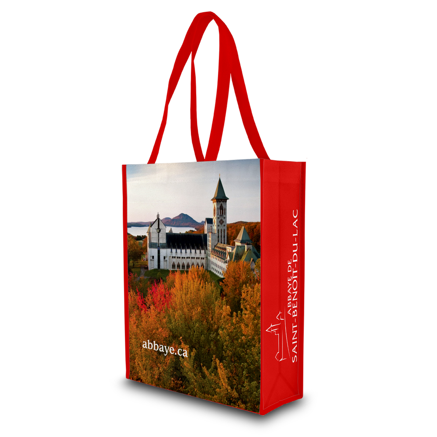 Sac non tissé recyclé - Petit cabas